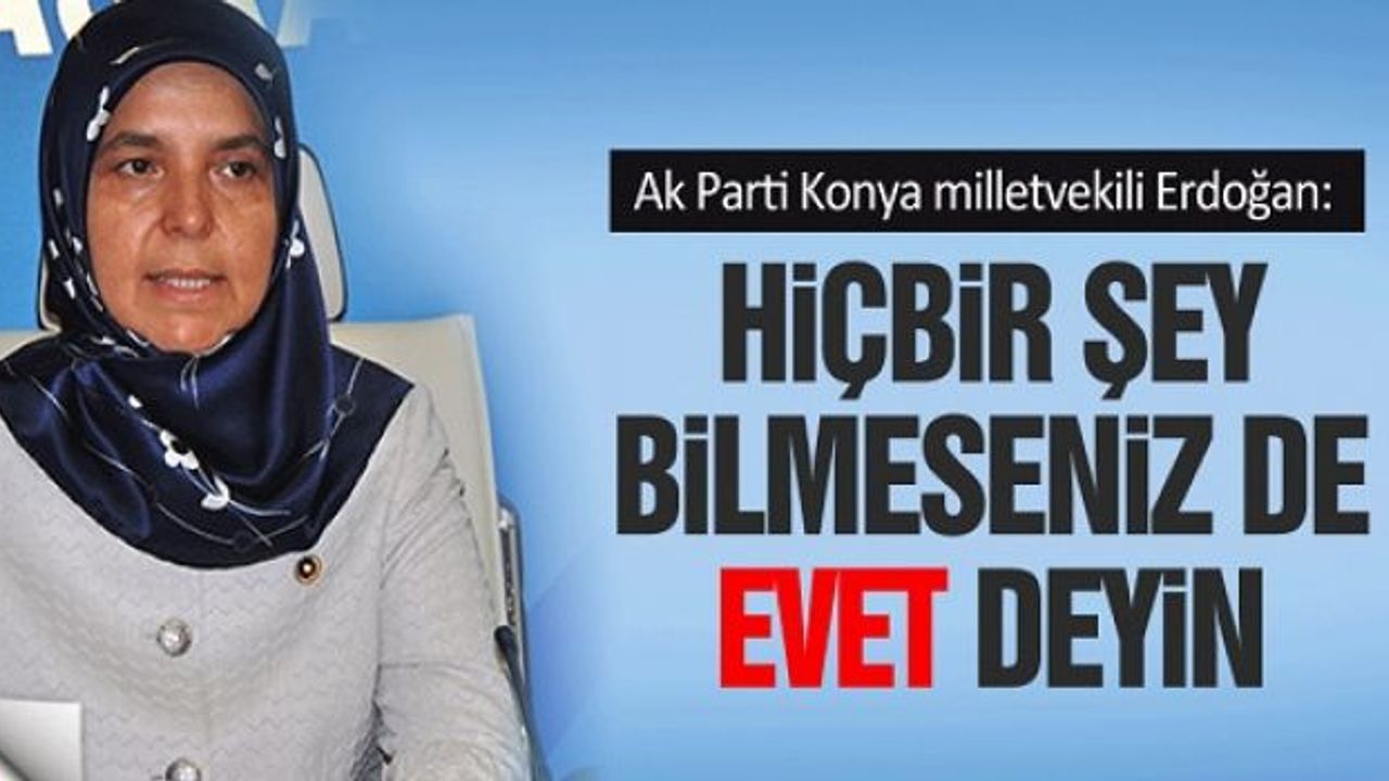 Ak Parti milletvekili Erdoğan: 'Hiçbir şey bilmeseniz de Hollanda için evet deyin