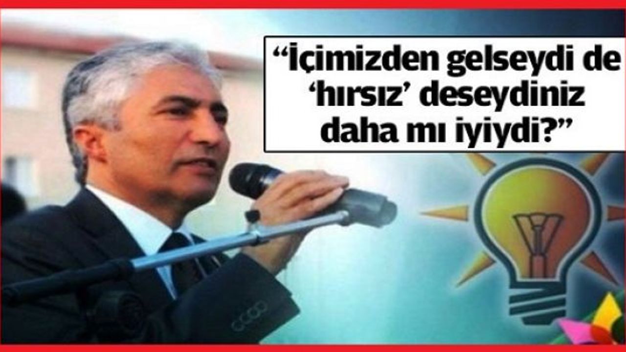 AK Partili vekilden il dışı aday eleştirisine: Hırsız deseydiniz daha mı iyiydi?