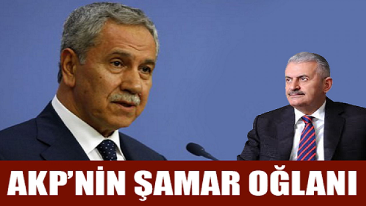  Arınç'tan Binali Yıldırım'ın sözüne tepki Arınç'tan Binali Yıldırım'ın sözüne tepki