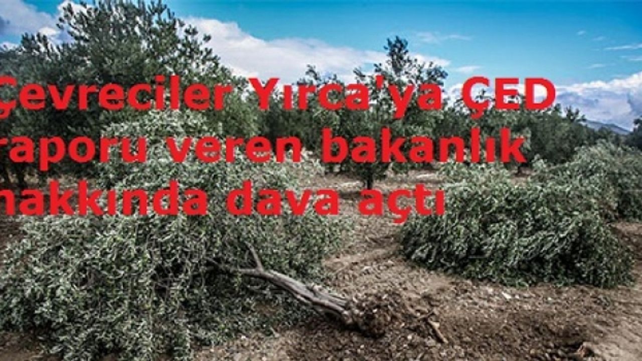 Çevreciler Yırca'ya ÇED raporu veren bakanlık hakkında dava açtı