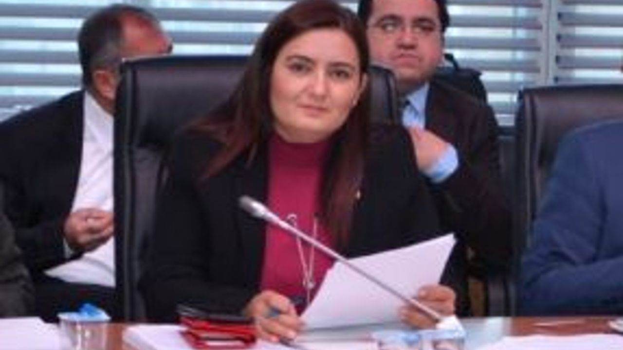 CHP'Lİ KILIÇ"YAĞIŞTAN ZARAR GÖREN İLÇELER ACİLEN AFET BÖLGESİ İLAN EDİLSİN"