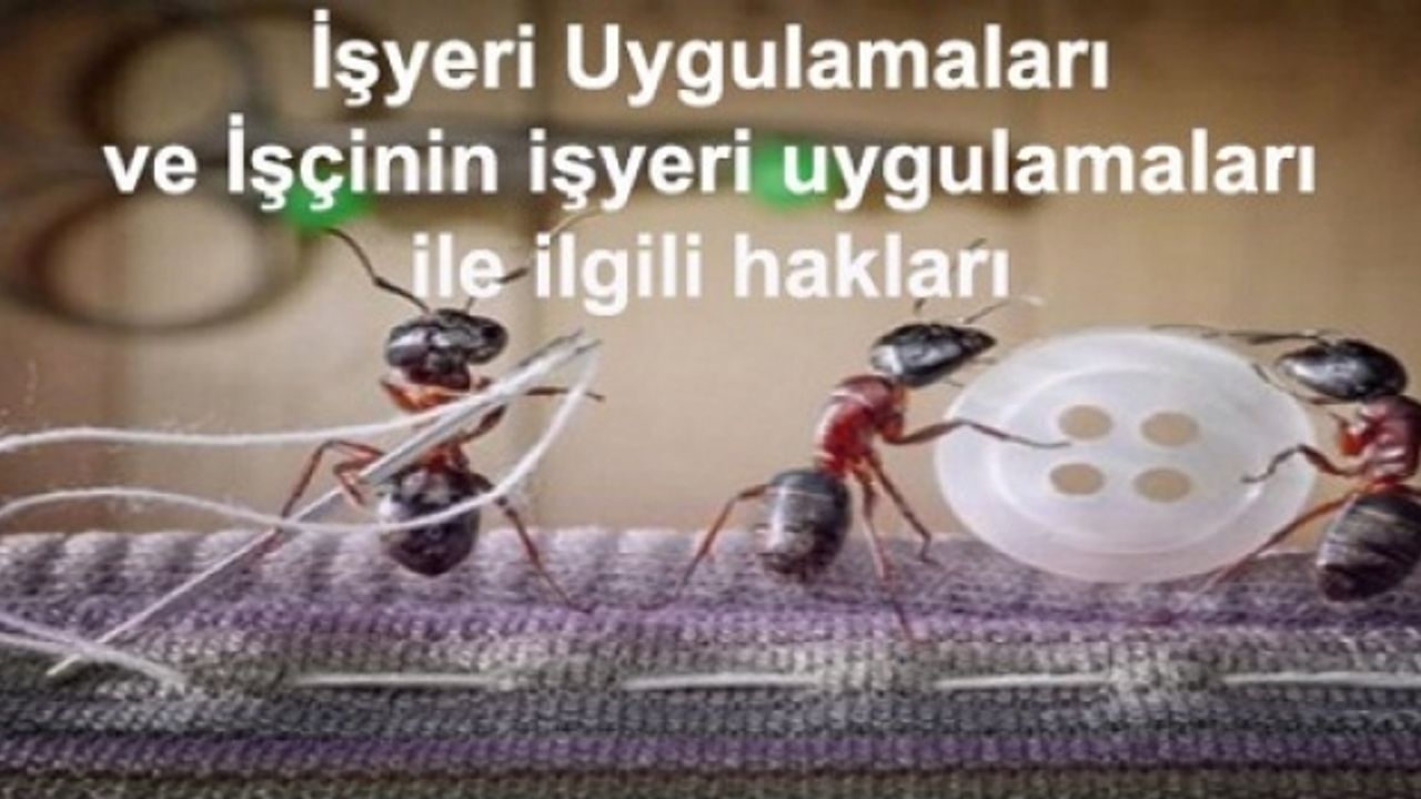 İş yeri Uygulamaları ve İşçinin iş yeri uygulamaları ile ilgili hakları 