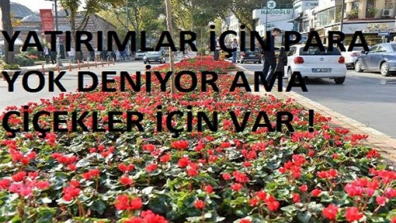 İstanbul’da trafik ve ulaşım sorunu çözememişken bu çiçekler neden?