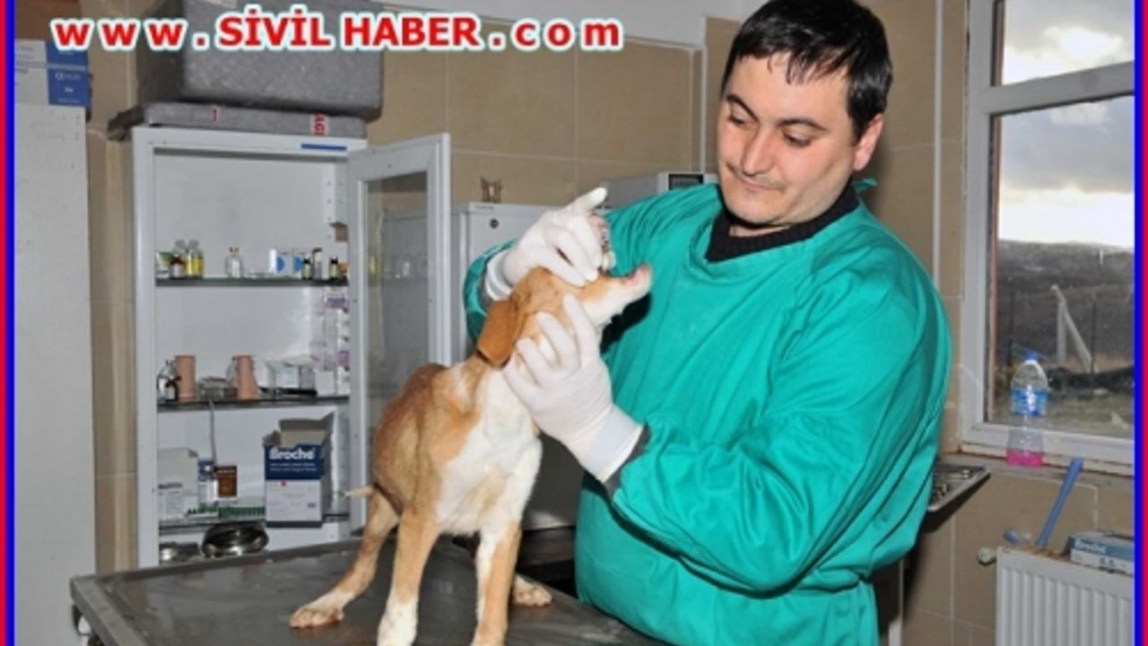 Küpem Var Aşım Var Tek Eksiğim Sıcak Bir Yuva