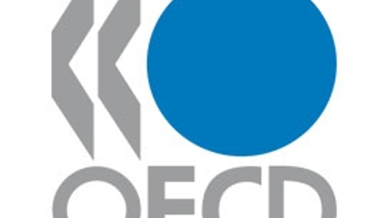 OECD, Türkiye'yi 'gri listede' tutmayı sürdürdü