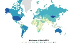 BM raporunda Türkiye'nin utandıran sıralaması: Günlük siyaseti bırakın bunu konuşun