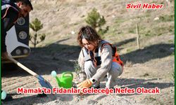 Mamak’ta Fidanlar Geleceğe Nefes Olacak