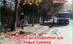 Tertemiz bir Eyüpsultan için kolları sıvadık