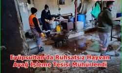 Eyüpsultan’da Ruhsatsız Hayvan Ayağı İşleme Tesisi Mühürlendi