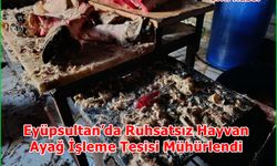 Eyüpsultan’da Ruhsatsız Hayvan Ayağı İşleme Tesisi Mühürlendi