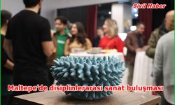 Maltepe’de disiplinlerarası sanat buluşması