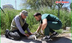 Maltepe’de “can dostlar” güvende