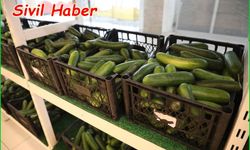 Gıda Bankası ihtiyaç sahiplerine en taze ürünleri sunuyor