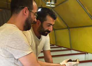 Cihan Kıvırcık