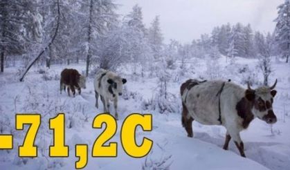 Dünyada bu köyden daha soğuk bir yer yok  