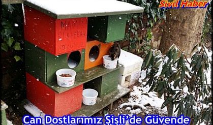 Can Dostlarımız Şişli’de Güvende