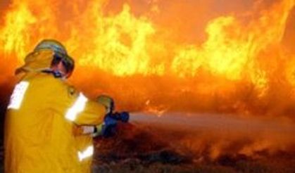 Düzce'de tavuk çiftliği yandı