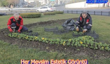 Her Mevsim Estetik Görüntü