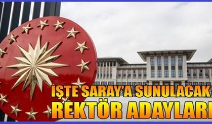 İşte Saray'a sunulacak rektör adayları!