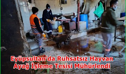 Eyüpsultan’da Ruhsatsız Hayvan Ayağı İşleme Tesisi Mühürlendi