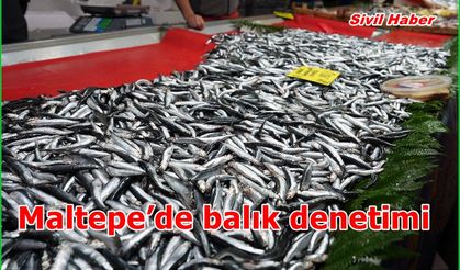 Maltepe’de balık denetimi