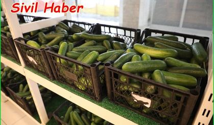 Gıda Bankası ihtiyaç sahiplerine en taze ürünleri sunuyor