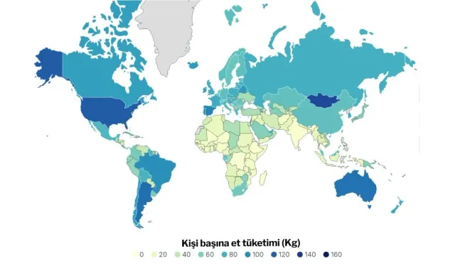 BM raporunda Türkiye'nin utandıran sıralaması: Günlük siyaseti bırakın bunu konuşun