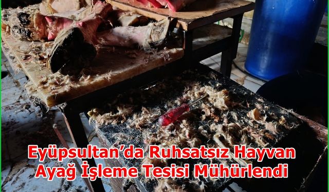 Eyüpsultan’da Ruhsatsız Hayvan Ayağı İşleme Tesisi Mühürlendi