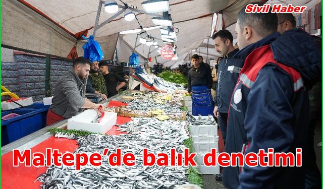 Maltepe’de balık denetimi