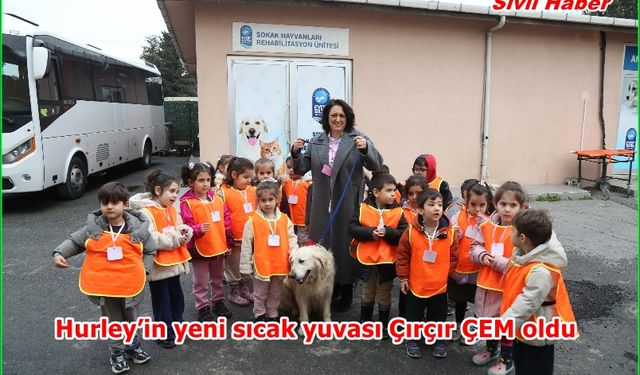 Hurley’in yeni sıcak yuvası Çırçır ÇEM oldu