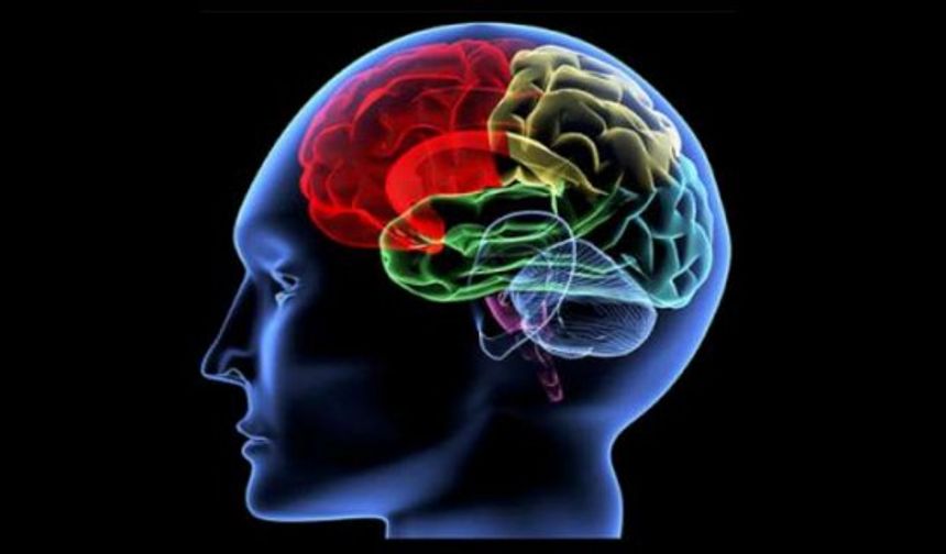 Beyin yaşınızı hesaplayın