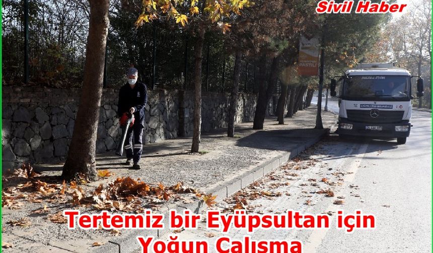 Tertemiz bir Eyüpsultan için kolları sıvadık