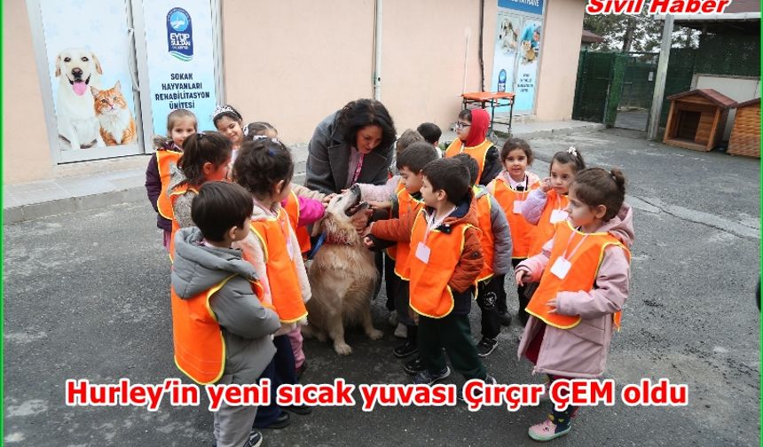 Hurley’in yeni sıcak yuvası Çırçır ÇEM oldu