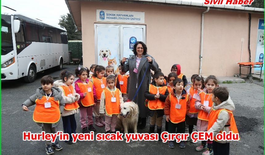 Hurley’in yeni sıcak yuvası Çırçır ÇEM oldu