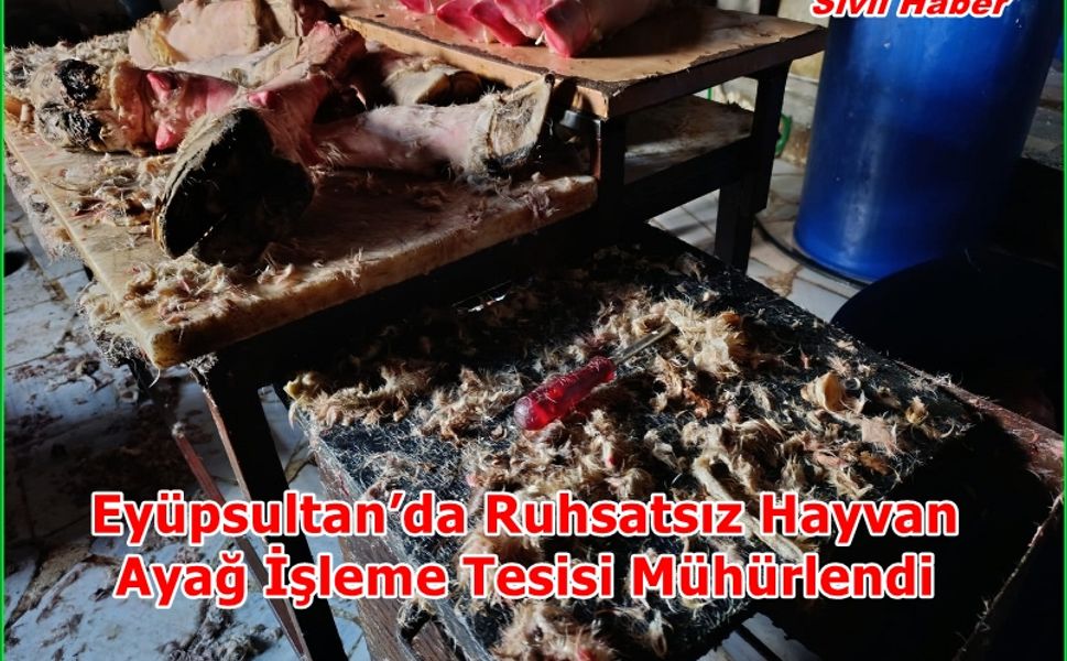 7,5 TON SAKATAT EL KONULARAK İMHA EDİLDİ