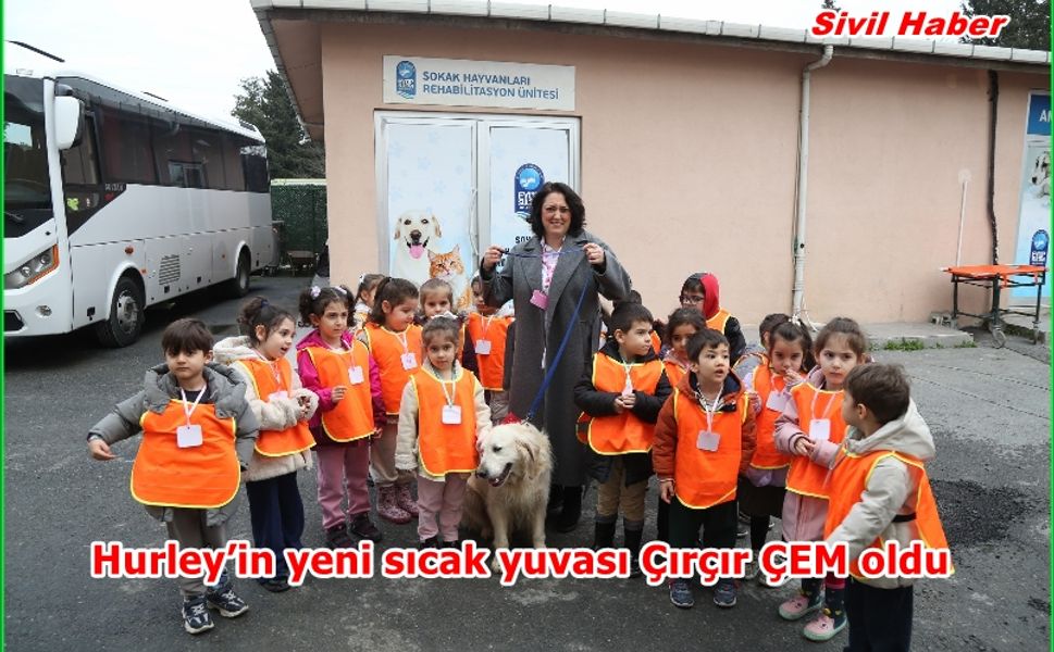 Hurley’in yeni sıcak yuvası Çırçır ÇEM oldu