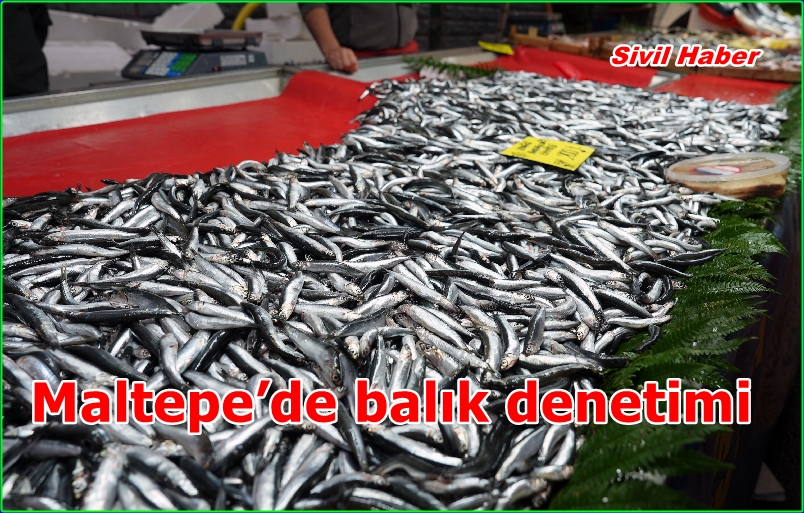 Maltepe’de balık denetimi